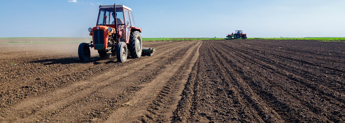 How to Prepare the Soil