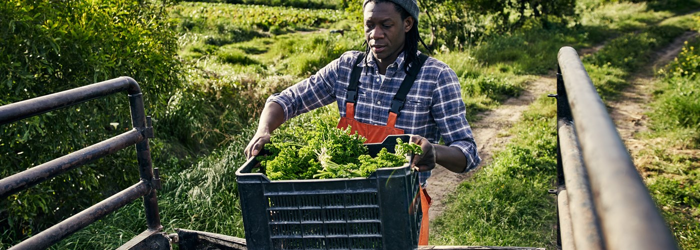 CONSERVAÇÃO E TRANSPORTE DE HORTÍCOLAS