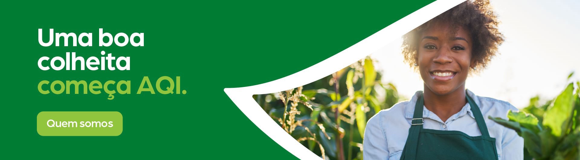 Uma boa colheita (Quem Somos) começa AQI