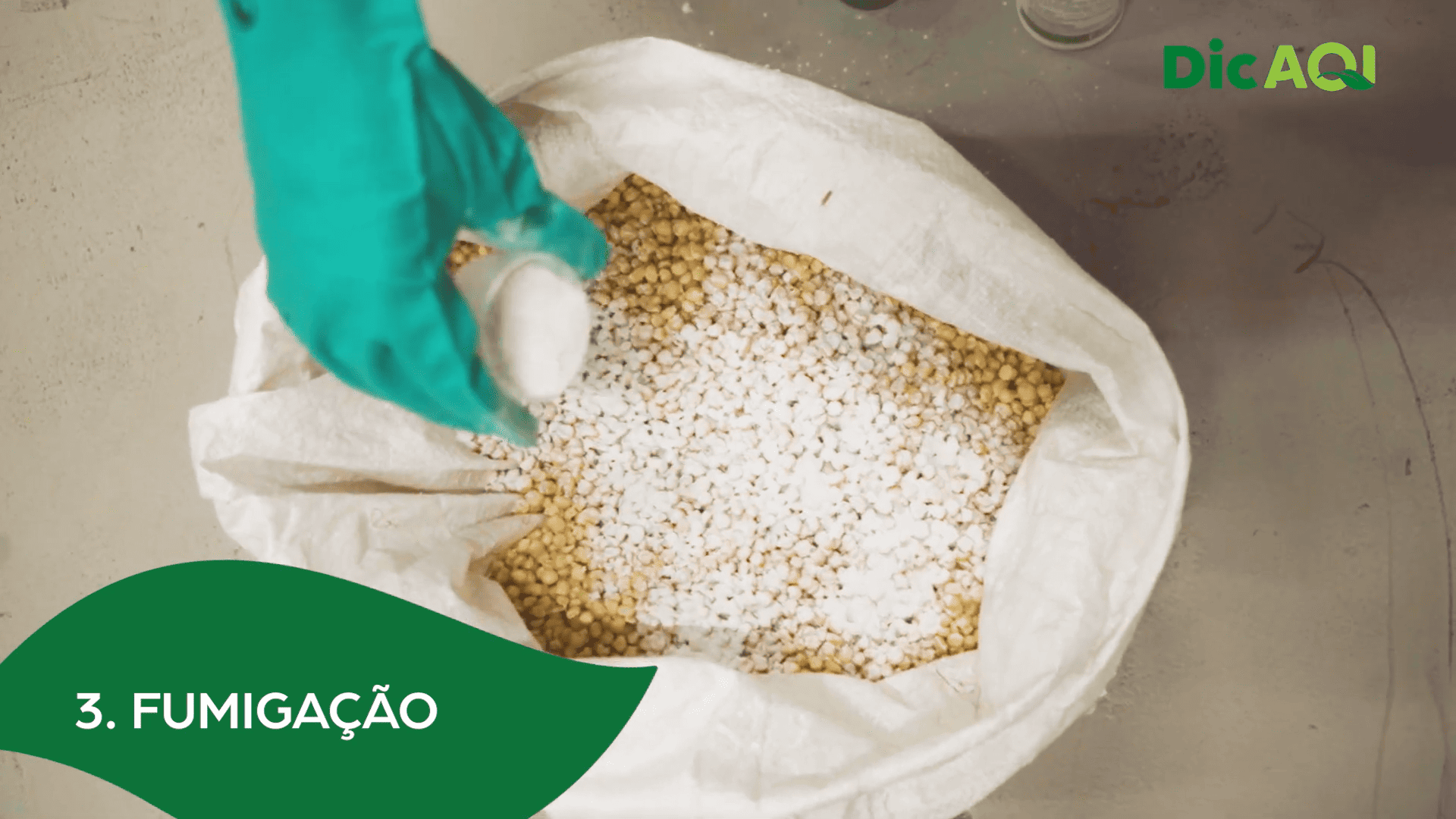  DicAQI - Armazenamento do Milho